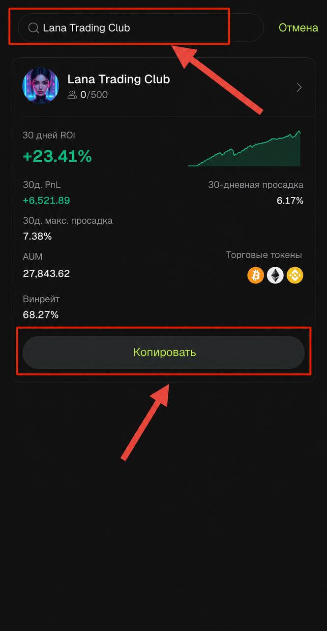 Поиск трейдера — ввод имени Lana Trading Club